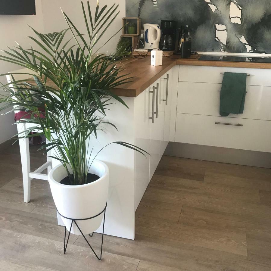 22b Puigmal D Appartement *